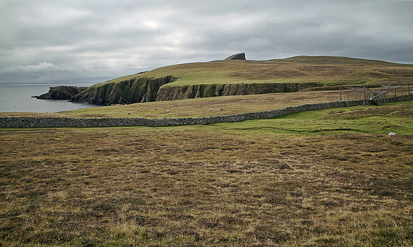 "open spaces"