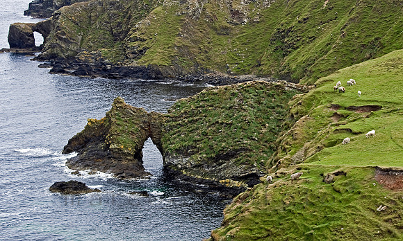 "green cliffs"