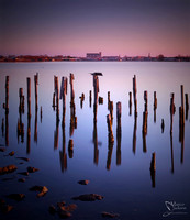 Comacchio from the water valley