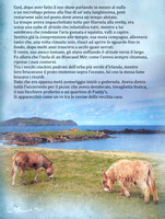 da "un bambino", Great Blasket Island.