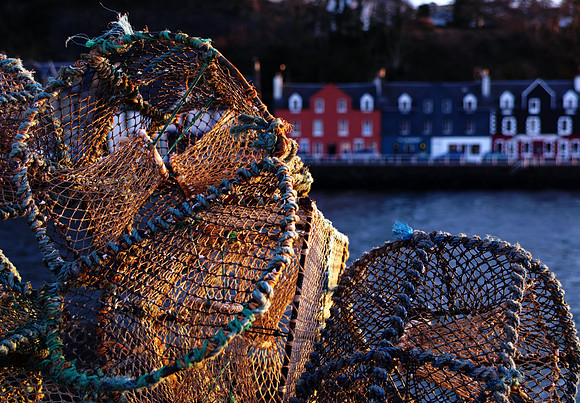 Tobermory at dawn