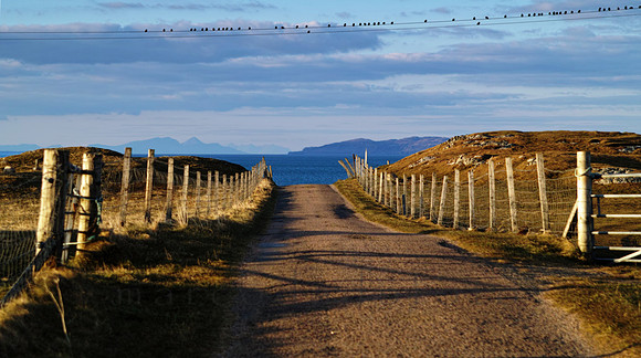 Iona Road