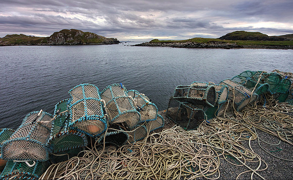Rodel Harbour 2
