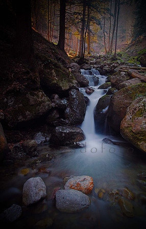 light fall