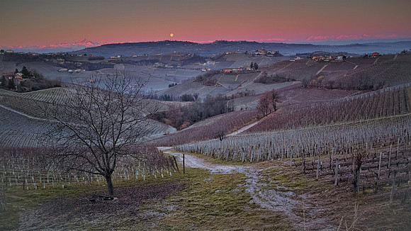 path to the hills