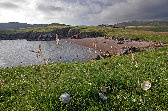 Muckle Roe beach, Shetland