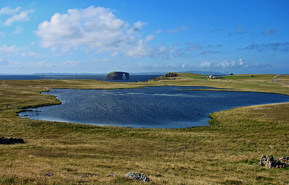 Dore Holm