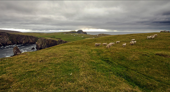 a walk in Fair Isle