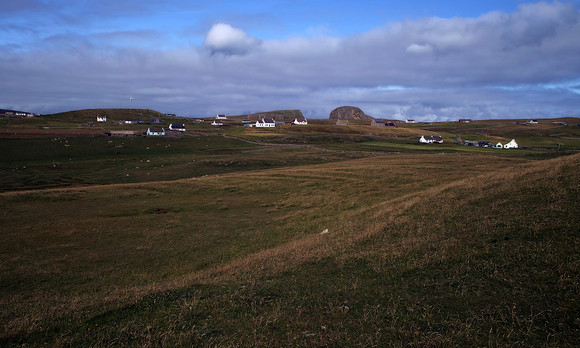 "houses"