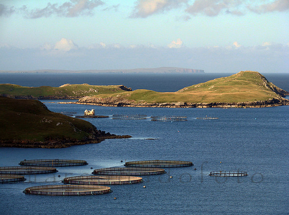 to the west mainland
