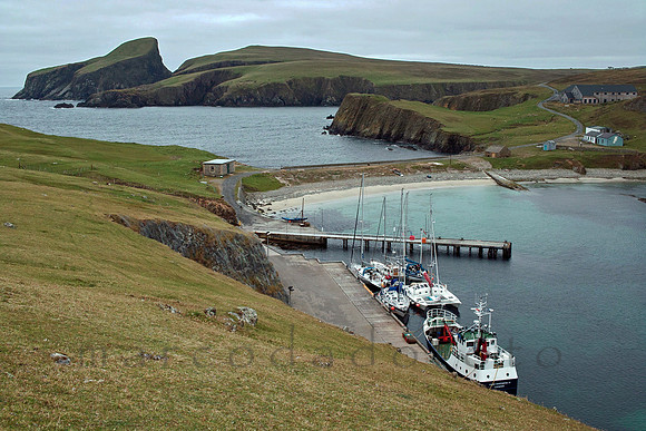 "the harbour"